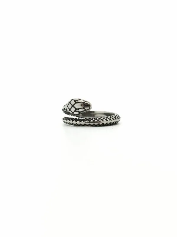ANILLO DE ACERO INOXIDABLE